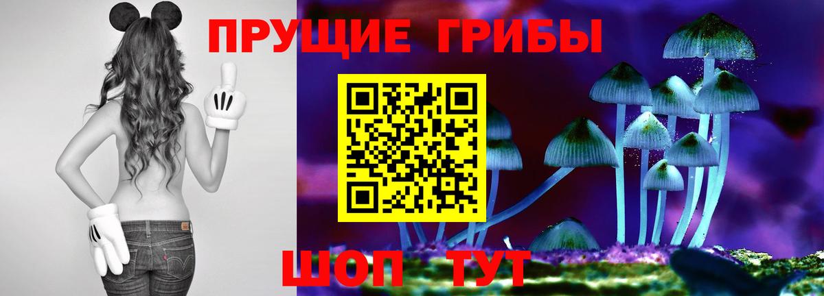 Чернушка  Псилоцибиновые грибы мухоморы  Вход с VPN 